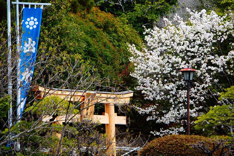 1029_水前寺公園_熊本