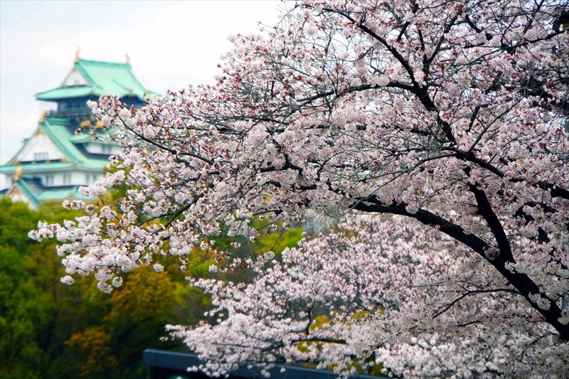 1003_大阪城_大阪