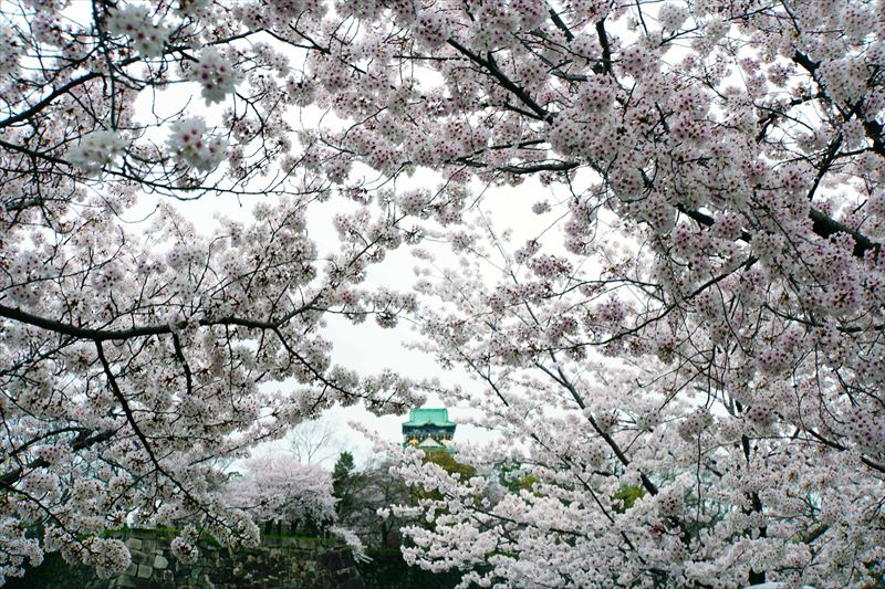 1006_大阪城_大阪