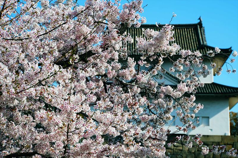 1018_大阪城_大阪