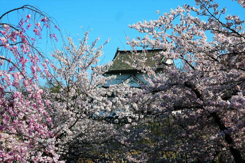 1021_大阪城_大阪