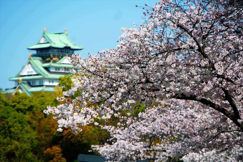 1032_大阪城_大阪