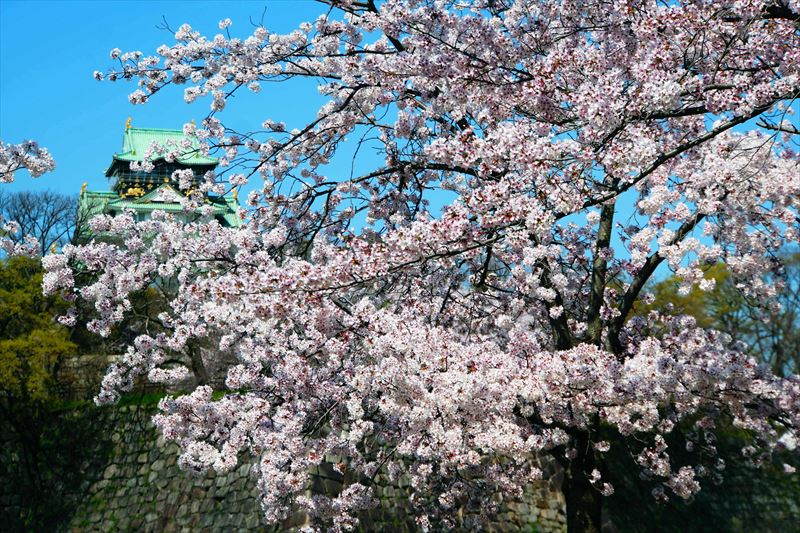 1041_大阪城_大阪