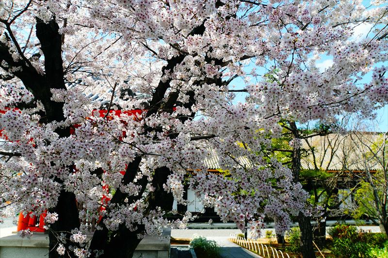 1210_洛中 蓮華王院三十三間堂_京都