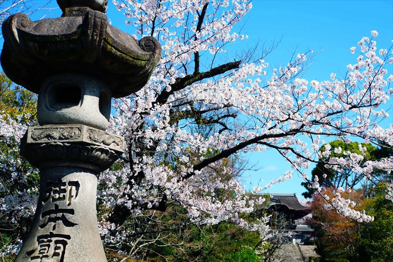 1018_洛東 大谷本廟_京都