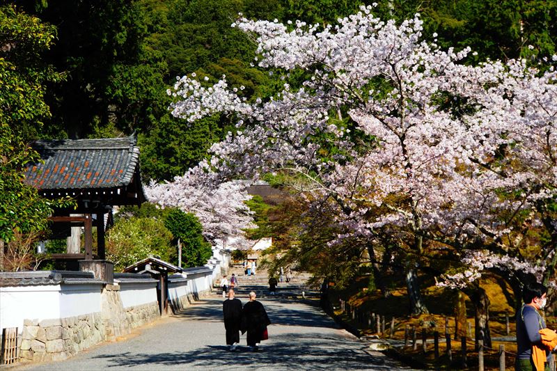 1040_洛東 南禅寺_京都