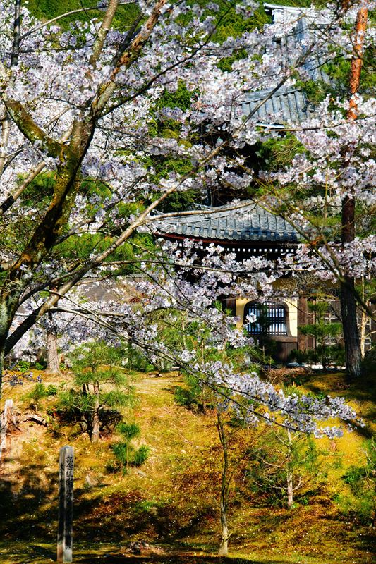 1041_洛東 南禅寺_京都