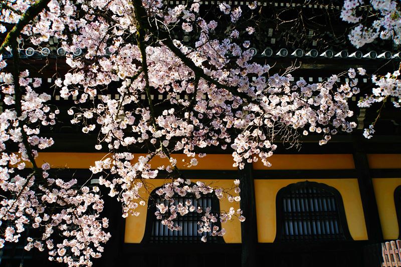 1045_洛東 南禅寺_京都
