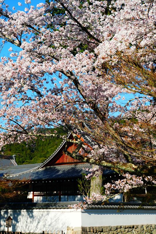 1049_洛東 南禅寺_京都