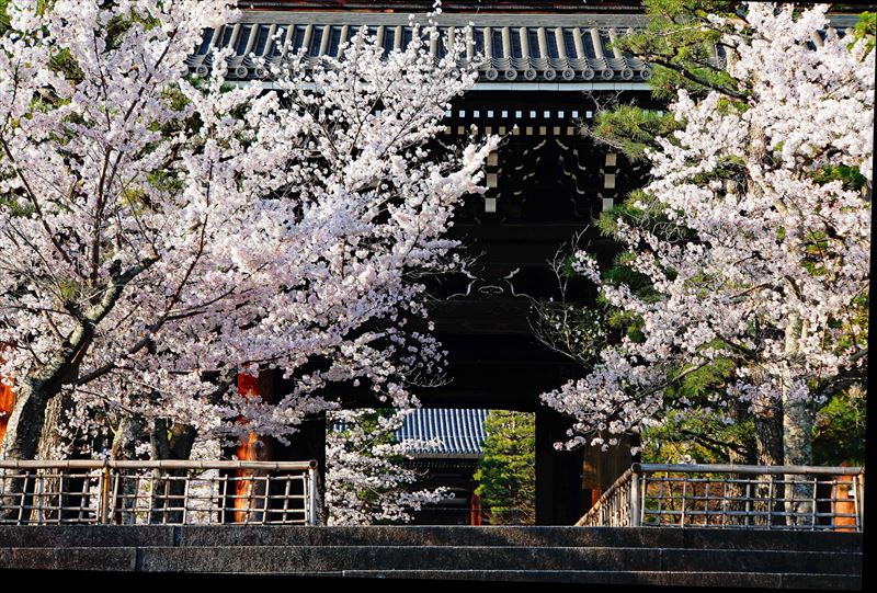 1003_洛中 金戒光明寺_京都