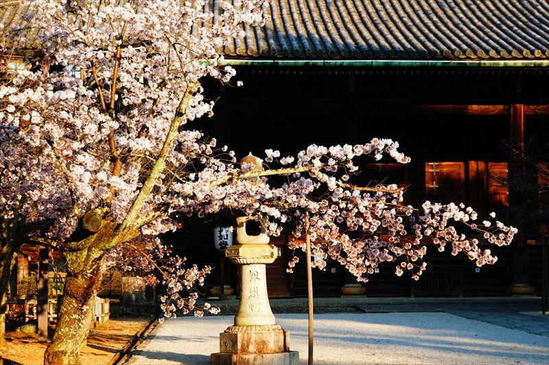 1008_洛東 真正極楽寺（真如堂）_京都