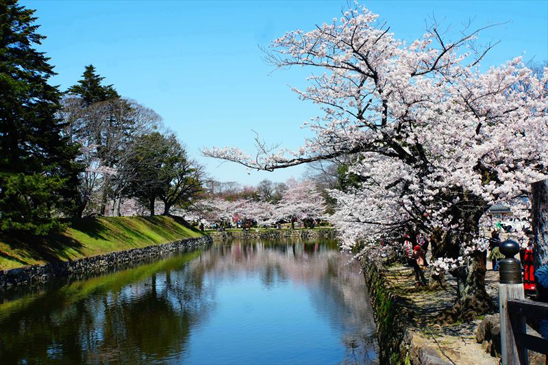 1041_8_彦根城_滋賀