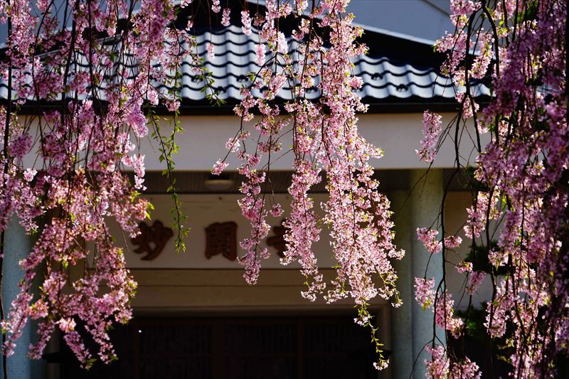 1003_白河市妙関寺_福島