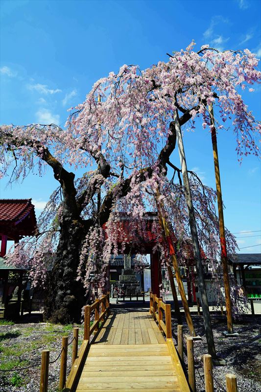 1005_白河市妙関寺_福島