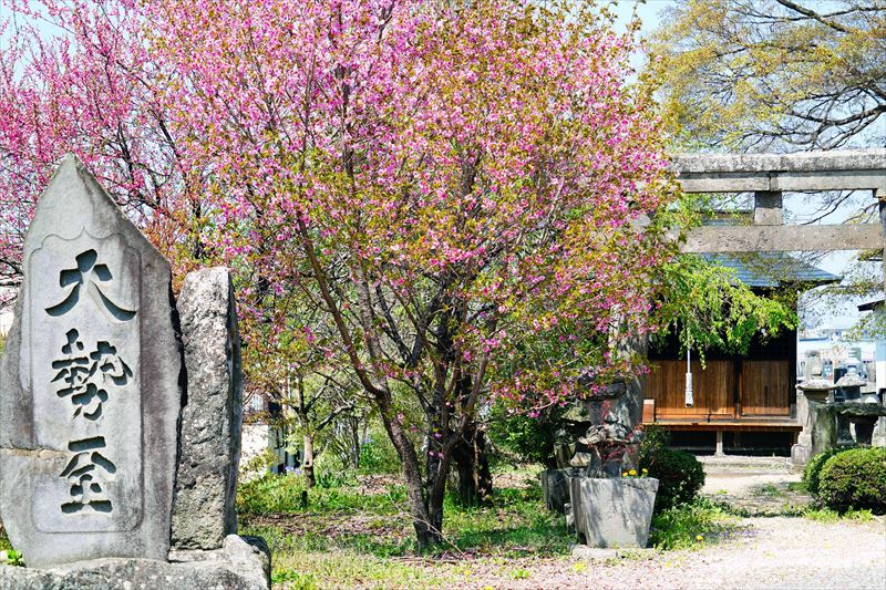 1001_白河市小峰八幡神社_福島