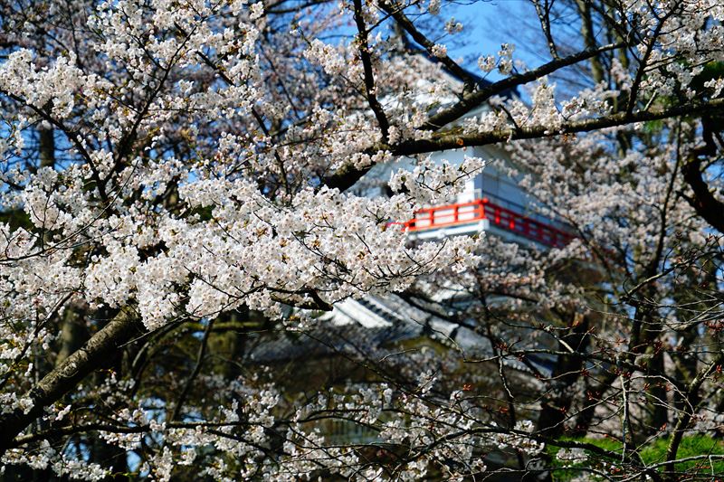 1032_千秋公園_秋田