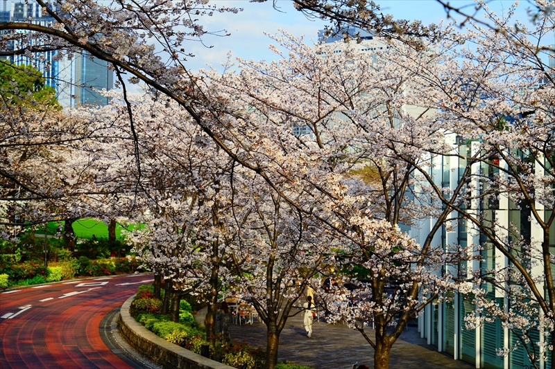 1002_東京ミッドタウン_東京