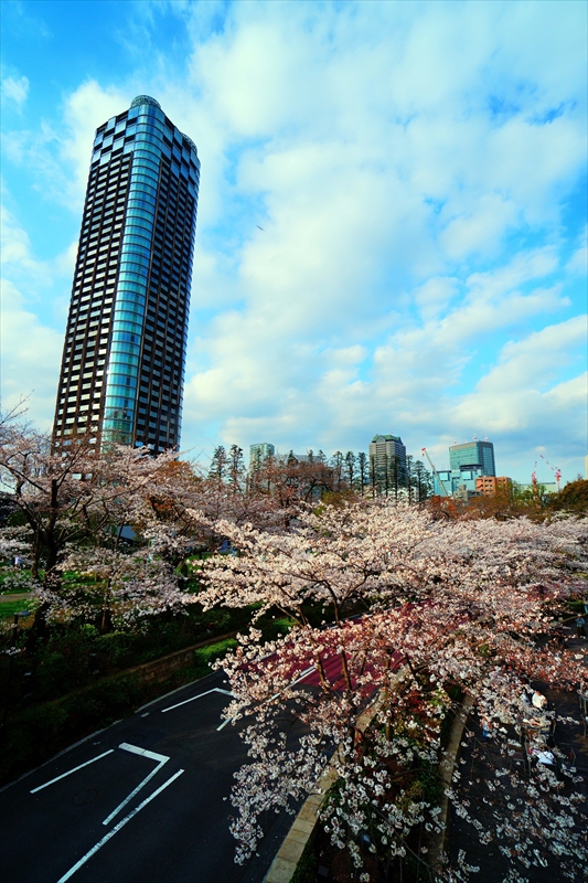 1003_東京ミッドタウン_東京