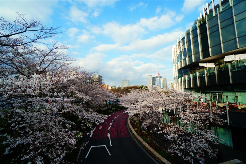1006_東京ミッドタウン_東京
