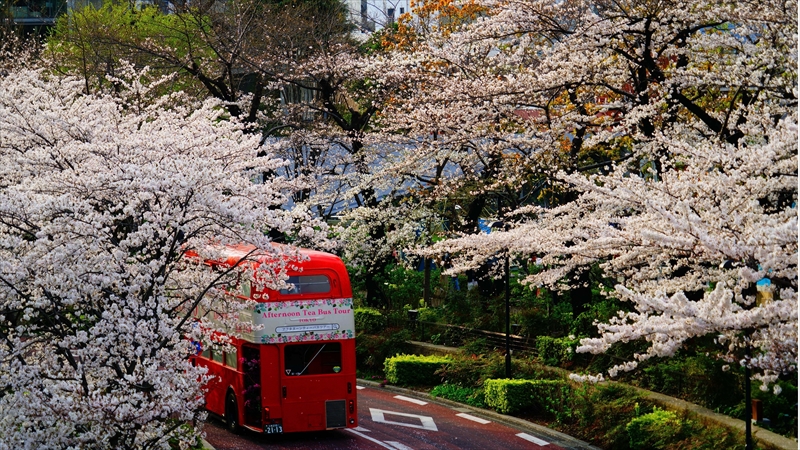 1007_東京ミッドタウン_東京