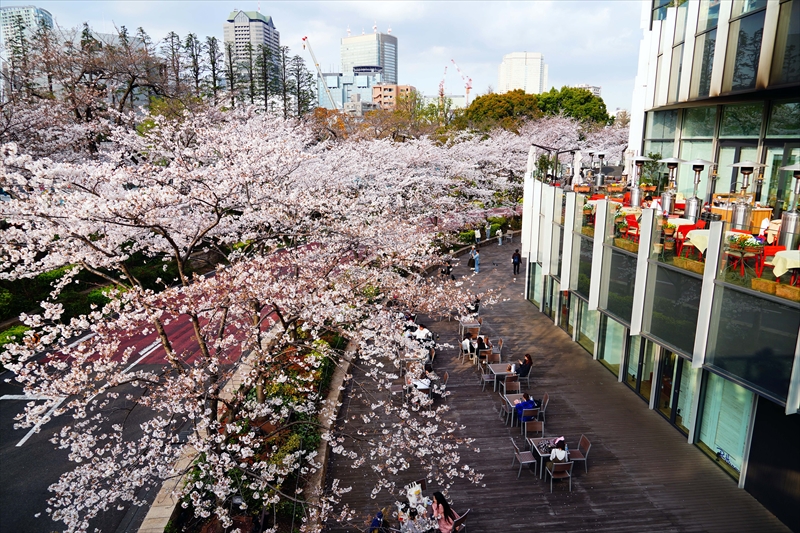 1008_東京ミッドタウン_東京