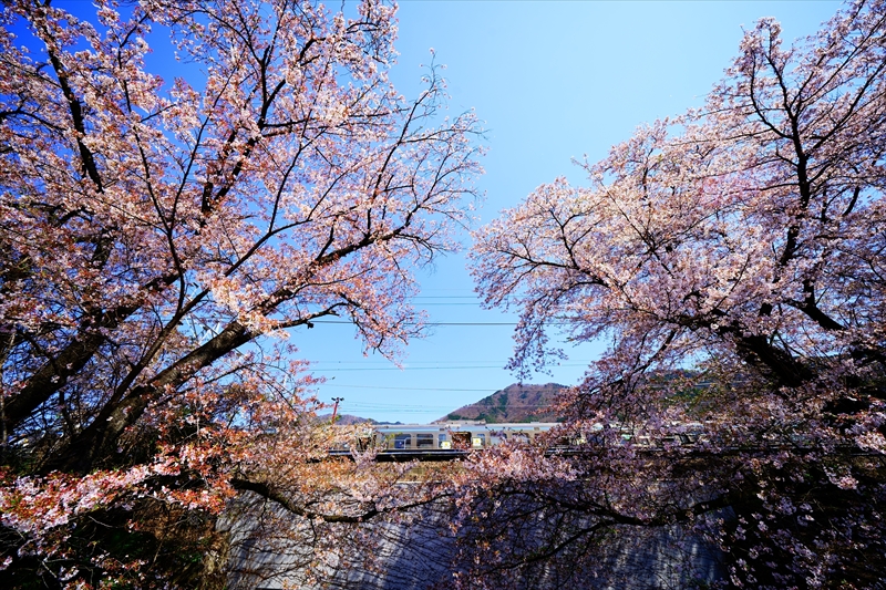 1002_勝沼ぶどう卿駅_山梨