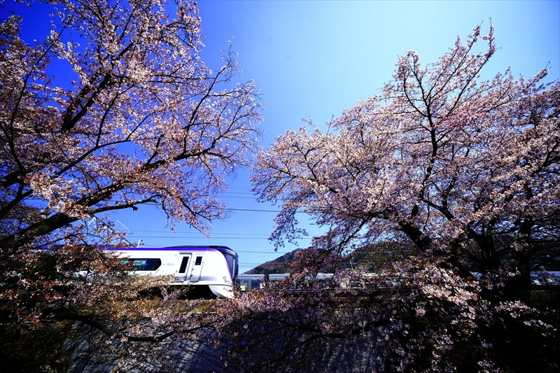 1003_勝沼ぶどう卿駅_山梨