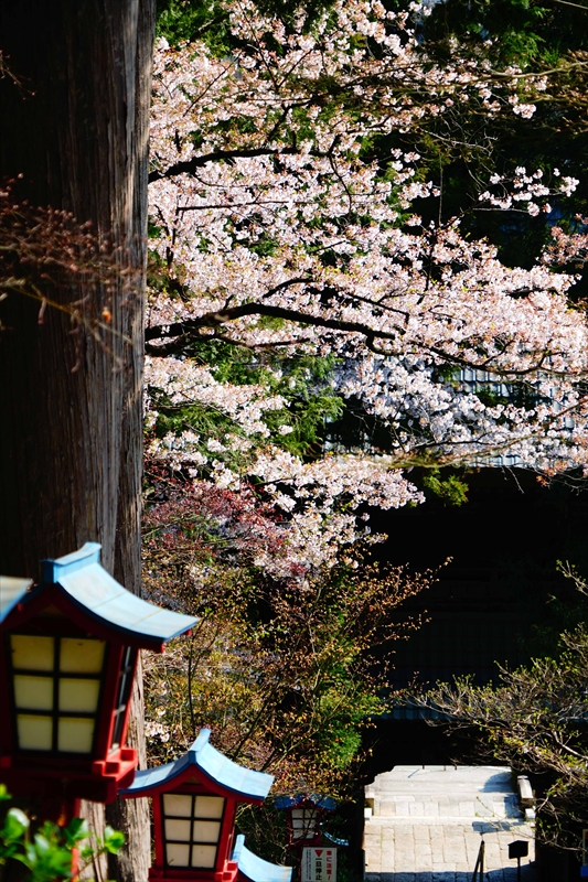 1019_大善寺_山梨