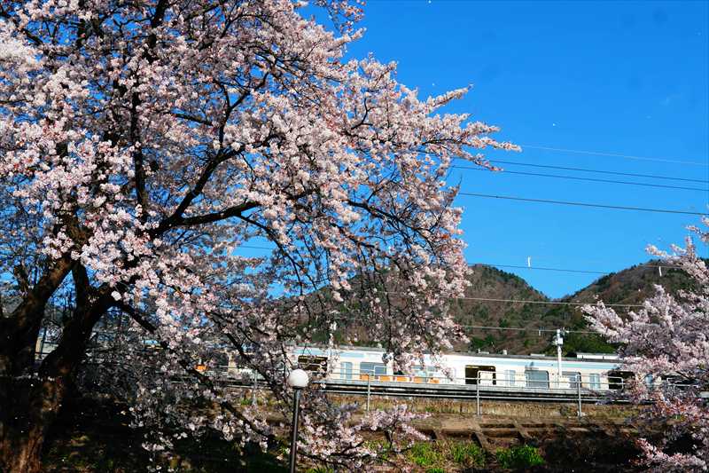 1009_勝沼ぶどう卿駅_山梨