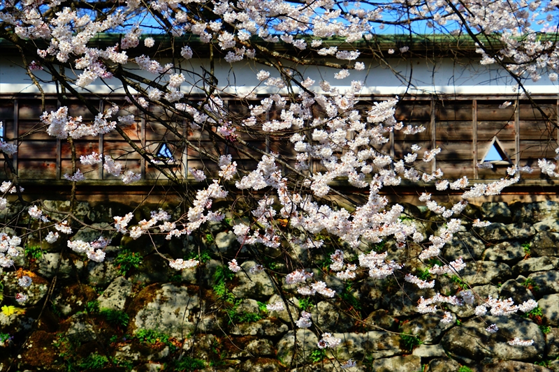 1121_高島城_長野