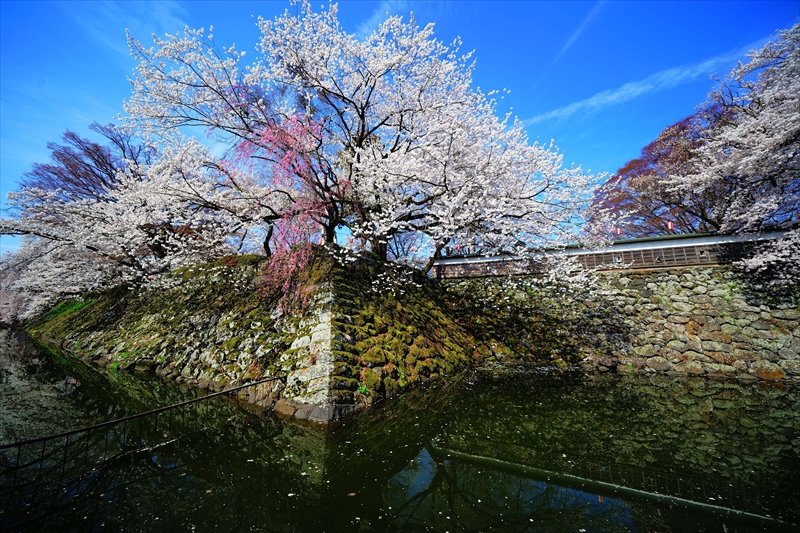 1129_高島城_長野