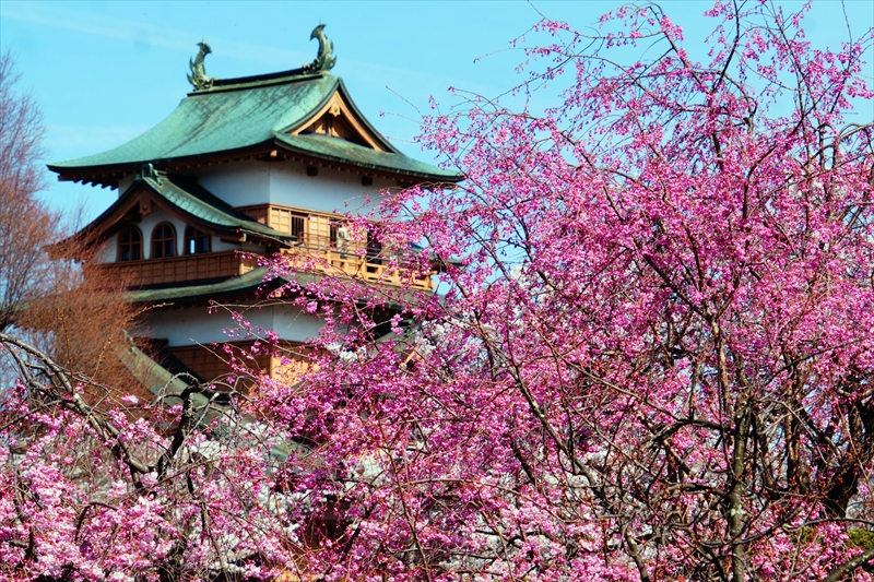 1130_高島城_長野