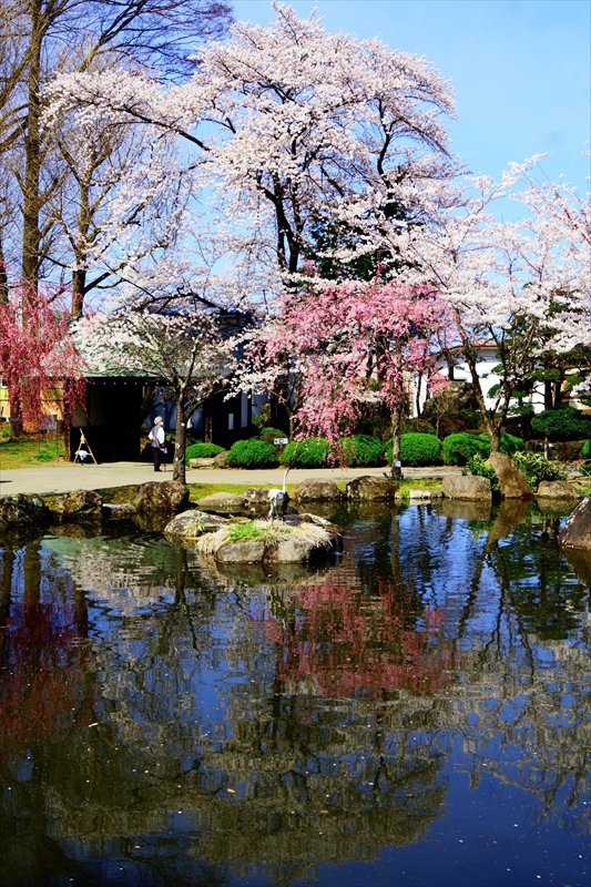 1136_高島城_長野