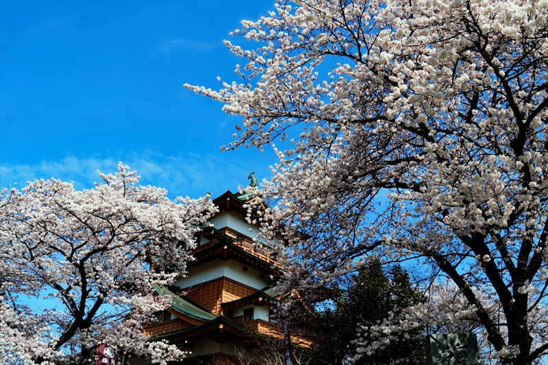 1138_高島城_長野