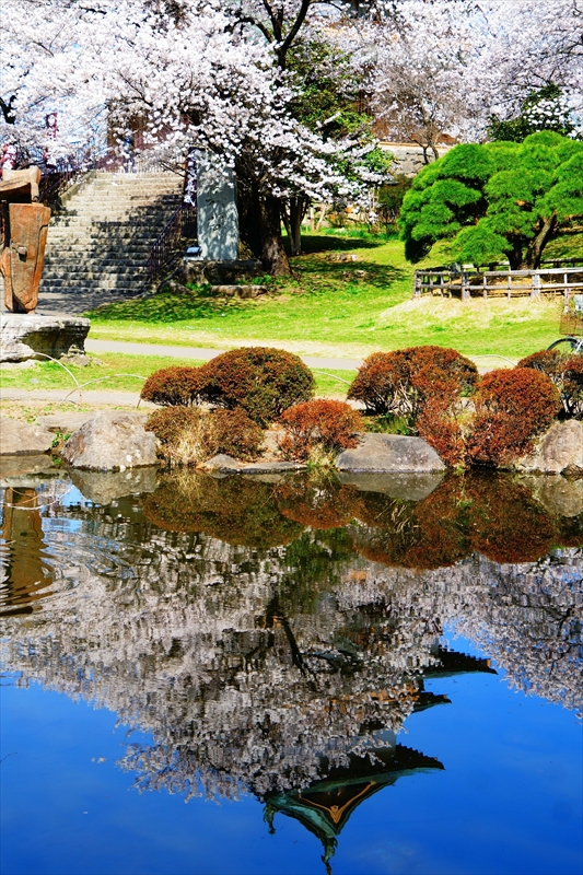 1141_高島城_長野