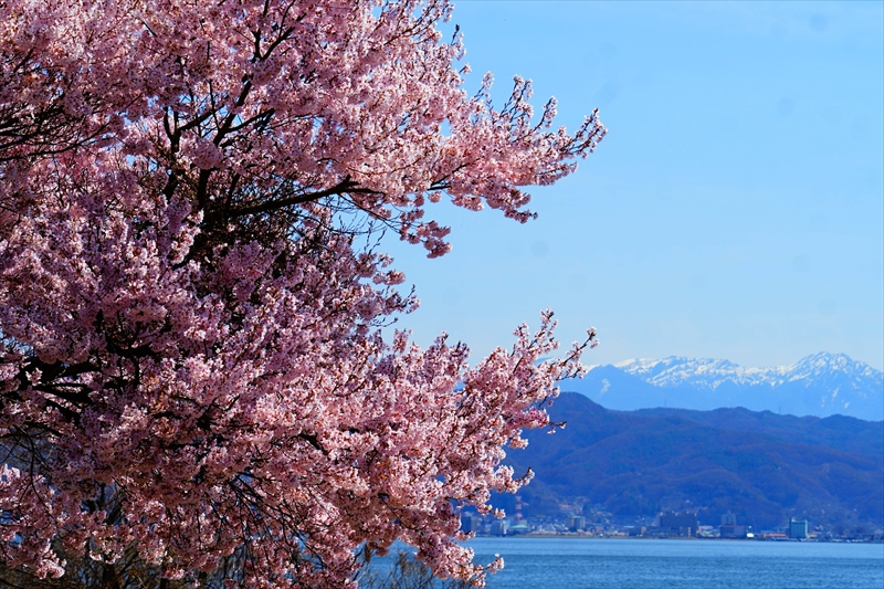 1033_諏訪湖畔_長野