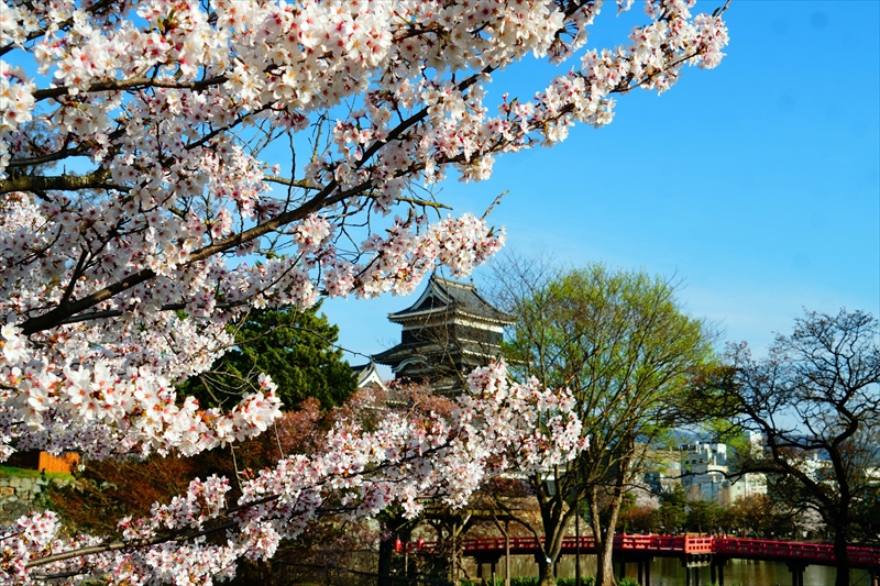 1065_松本城_長野