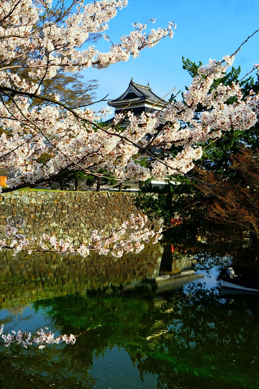 1067_松本城_長野