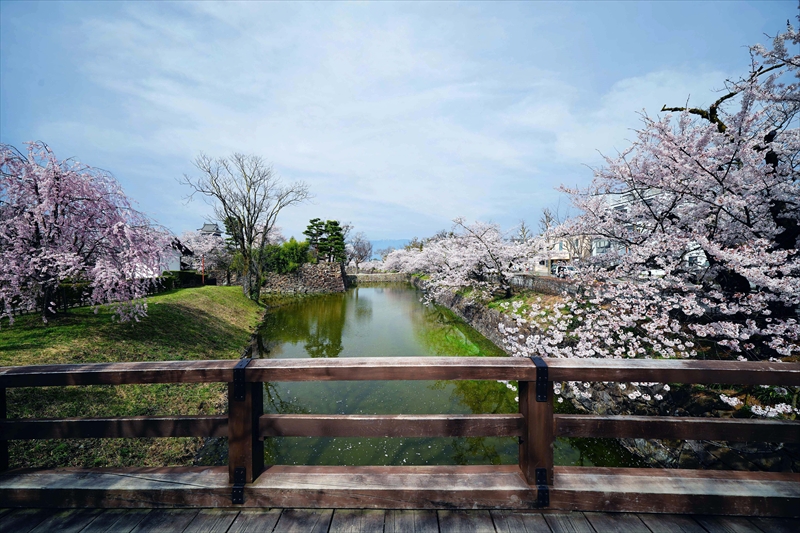 1083_松本城_長野