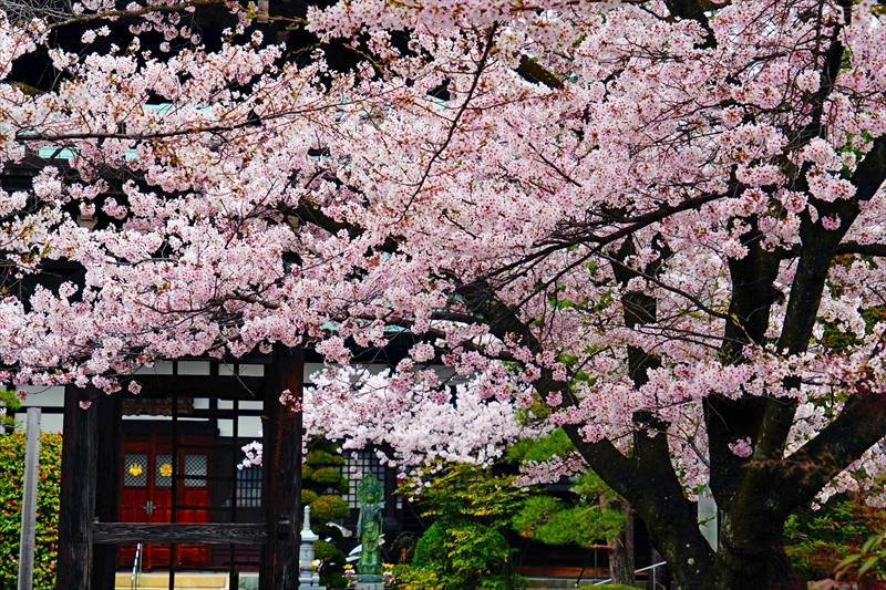 1113_正麟寺_長野