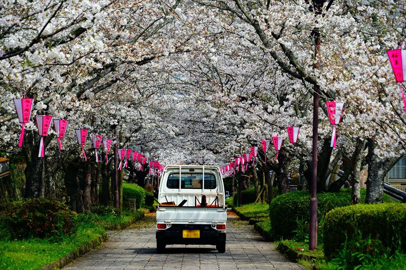 1053_鹿島市旭ヶ岡公園_佐賀