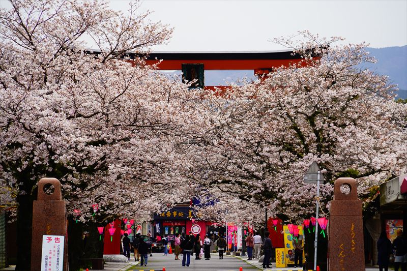 1038_祐徳稲荷神社_佐賀