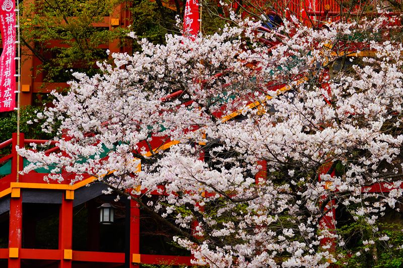 1040_祐徳稲荷神社_佐賀