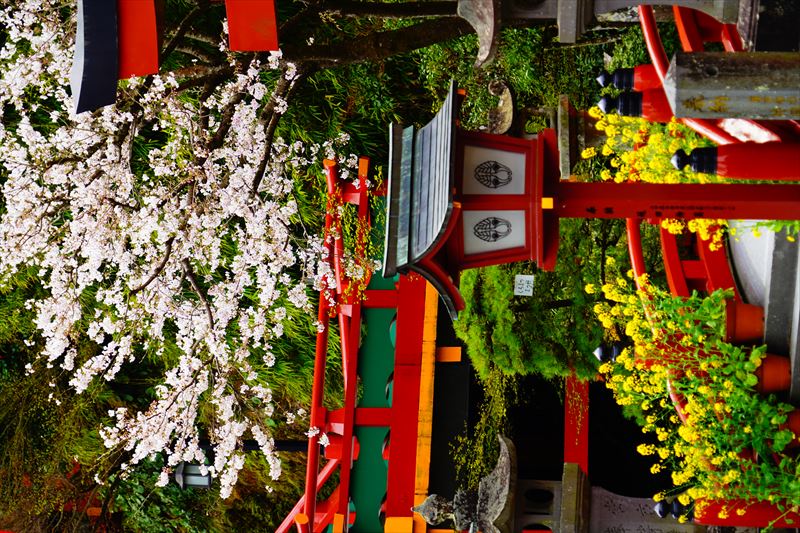 1042_祐徳稲荷神社_佐賀