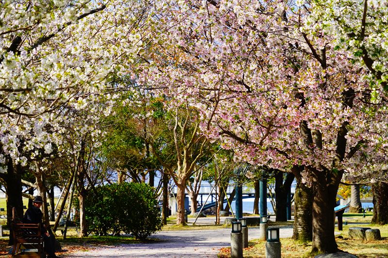 1004_水辺の森公園_長崎