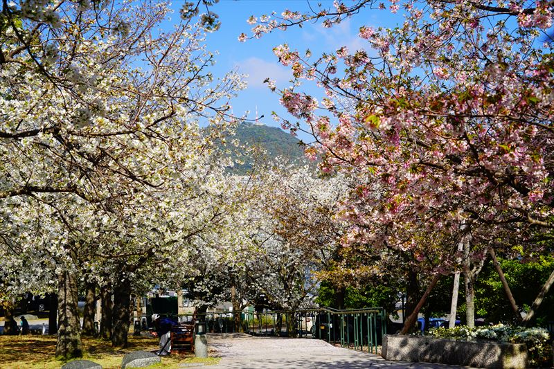 1006_水辺の森公園_長崎