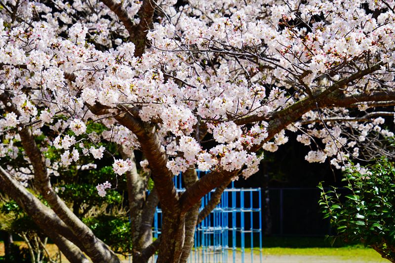 1026_長与総合公園_長崎