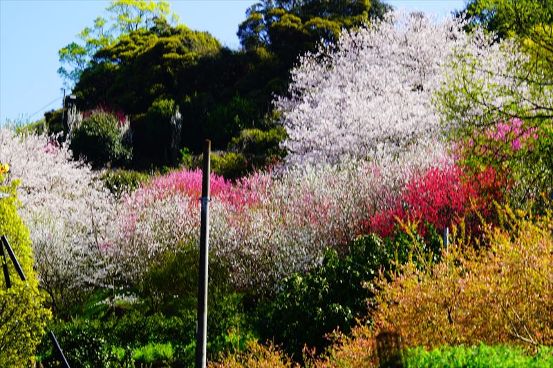 1027_県道207号線西彼杵郡長与町_長崎