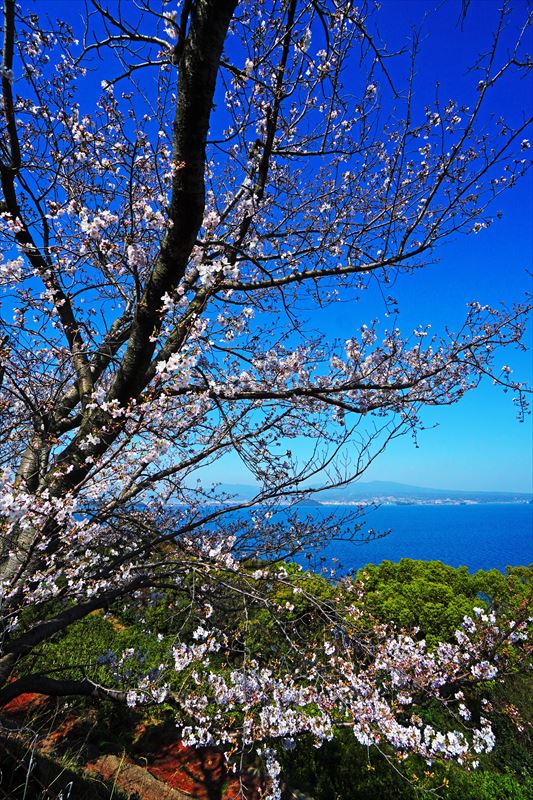 1029_県道207号線多良見町佐瀬_長崎