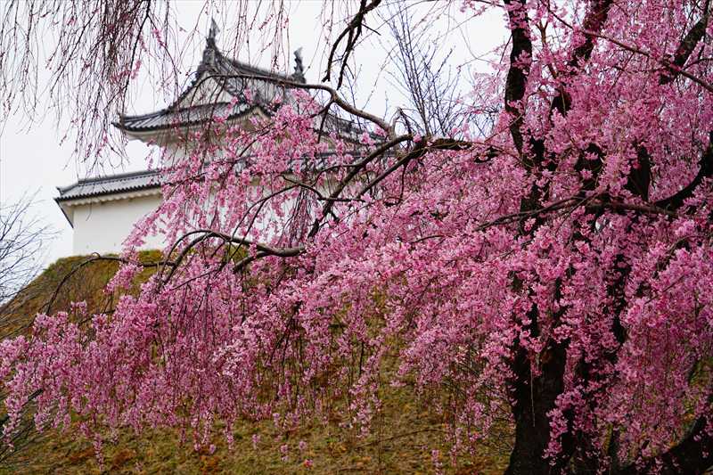 1006_宇都宮城_栃木